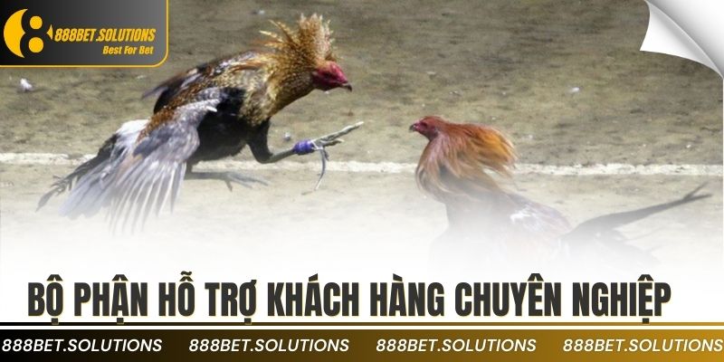 Bộ phận hỗ trợ khách hàng chuyên nghiệp 24/7