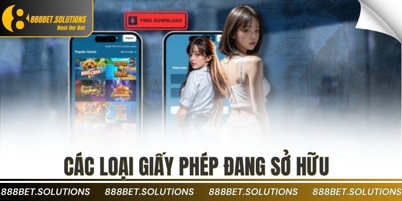 Các loại giấy phép đang sở hữu
