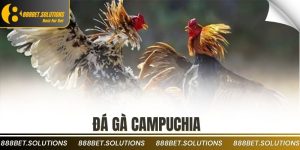 Đá gà Campuchia