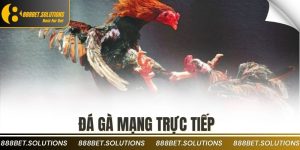 đá gà mạng trực tiếp