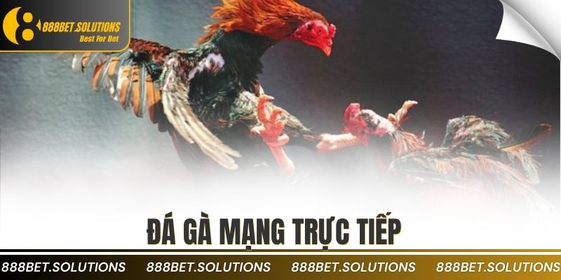 đá gà mạng trực tiếp
