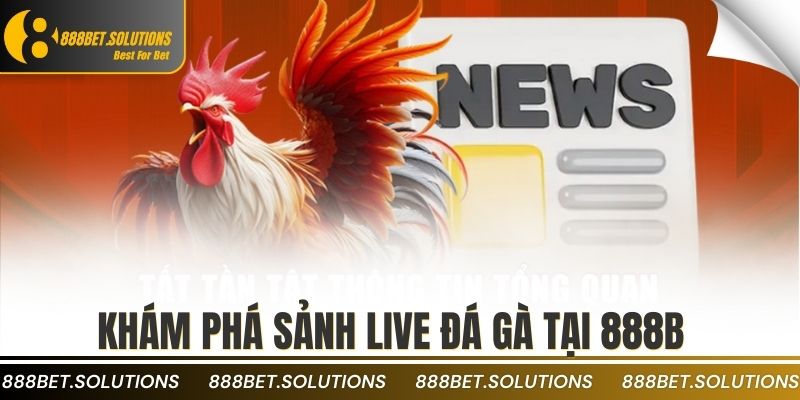 Live Trực Tiếp Đá Gà Với Bình Luận Viên Hài Hước, Chuyên Nghiệp 2 Khám phá sảnh live đá gà tại 888b