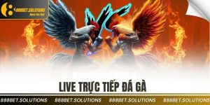 live trực tiếp đá gà