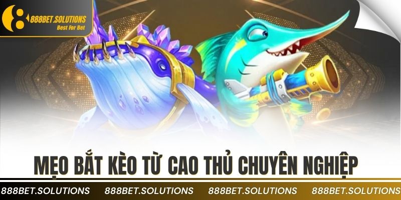 Mẹo bắt kèo từ cao thủ chuyên nghiệp