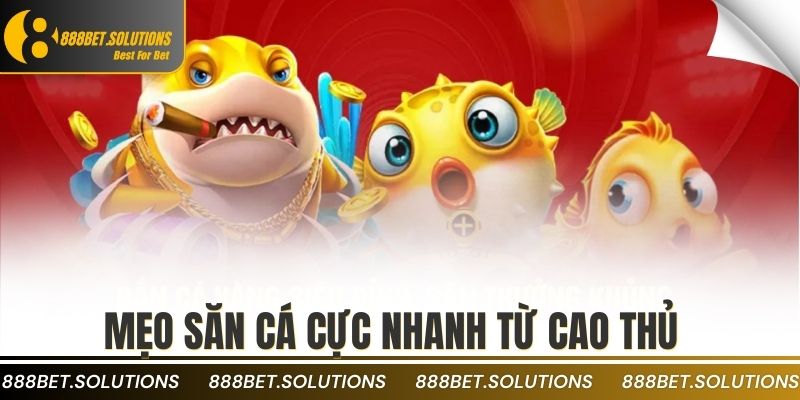 Mẹo săn cá cực nhanh từ cao thủ