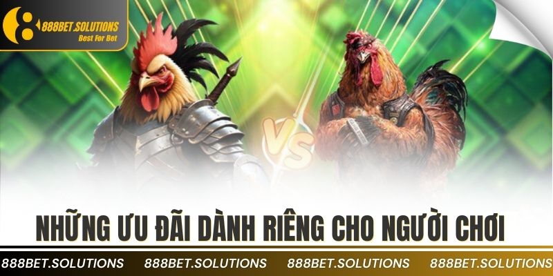 ĐÁ GÀ 2 Những ưu đãi dành riêng cho người chơi