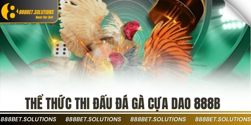 ĐÁ GÀ 3 Thể thức thi đấu đá gà cựa dao 888b